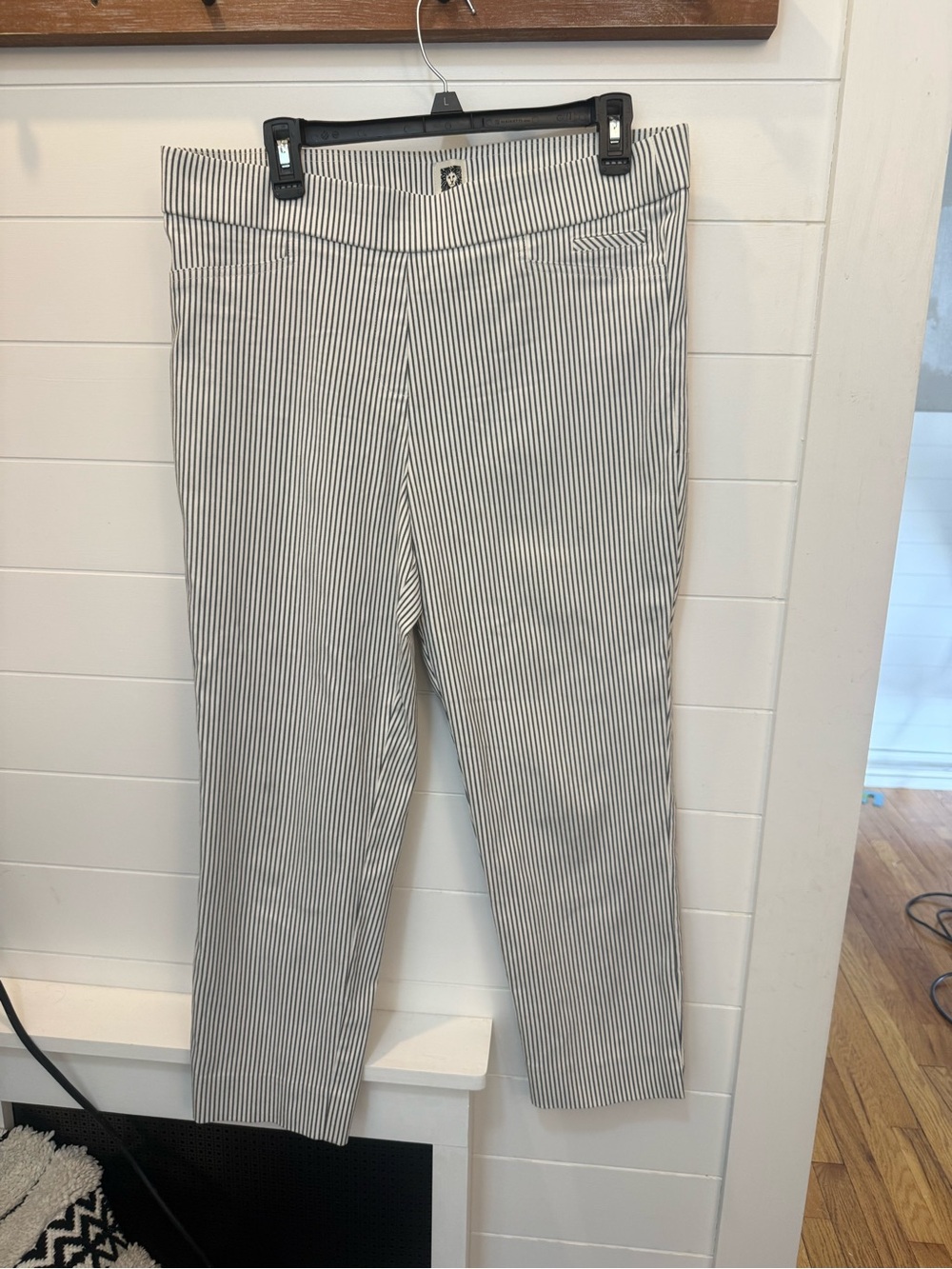 Striped Slim Ankle Pants - Blue and White